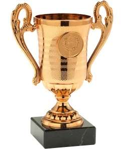 Trofee BSET.306 - Brons