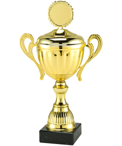 Trofee BMT.142